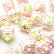 Gateron Harmonic Clicky Switch