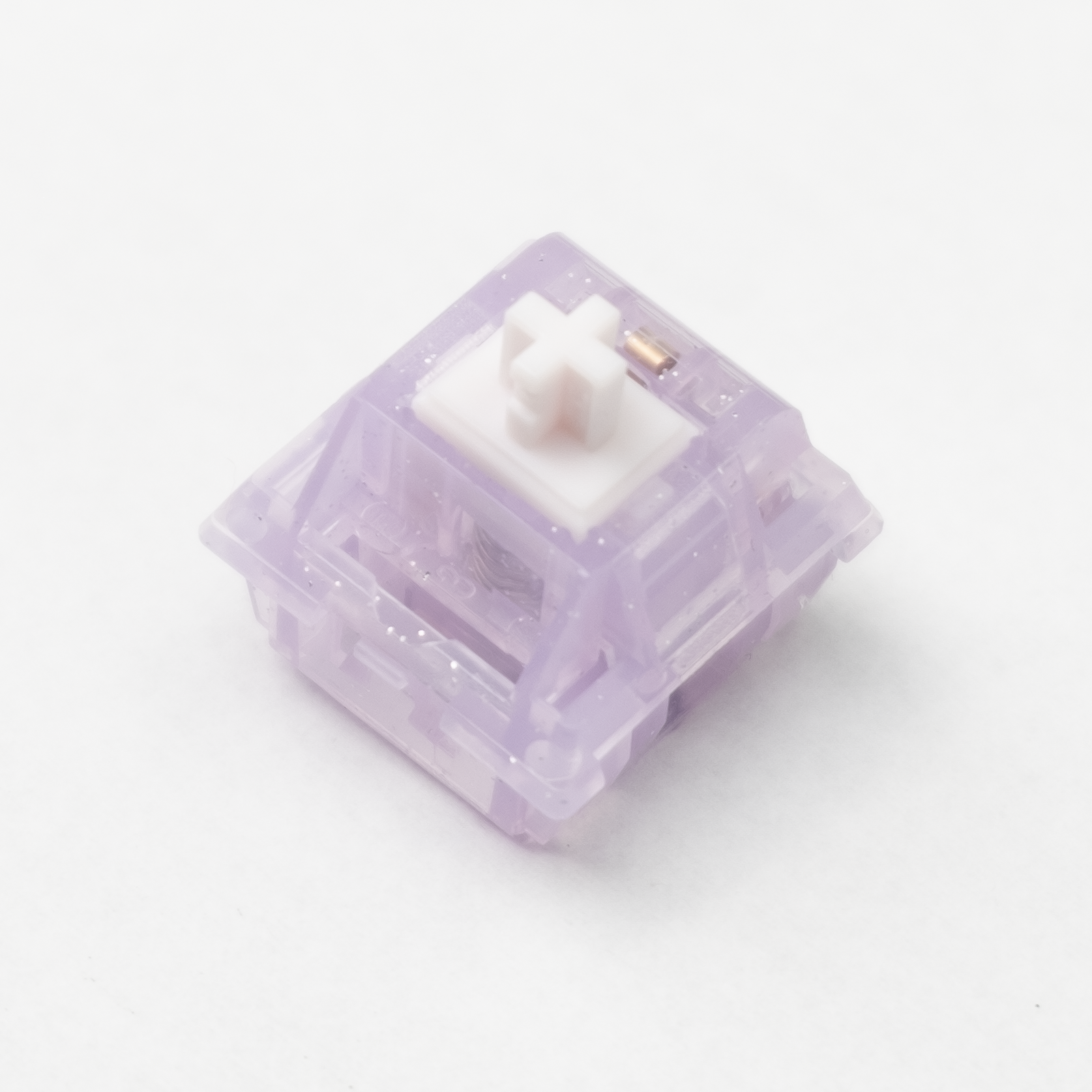 DSCF7547.png