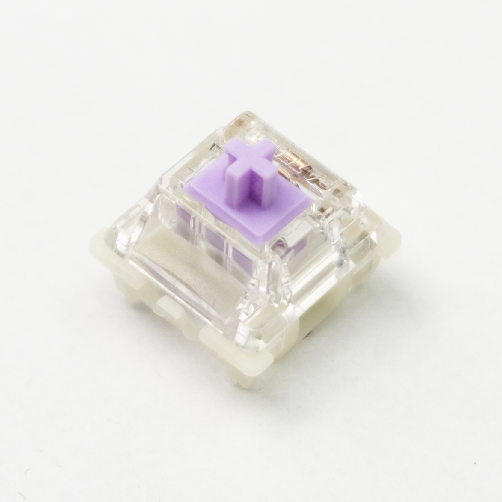 DSCF7554.png