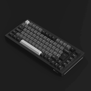 Akko 5075B Plus VIA Black (ISO-DE/NOR/UK) - InputGear DE