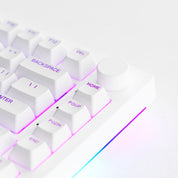 Akko 5075S Shine-Through (ANSI) (White) - InputGear DE