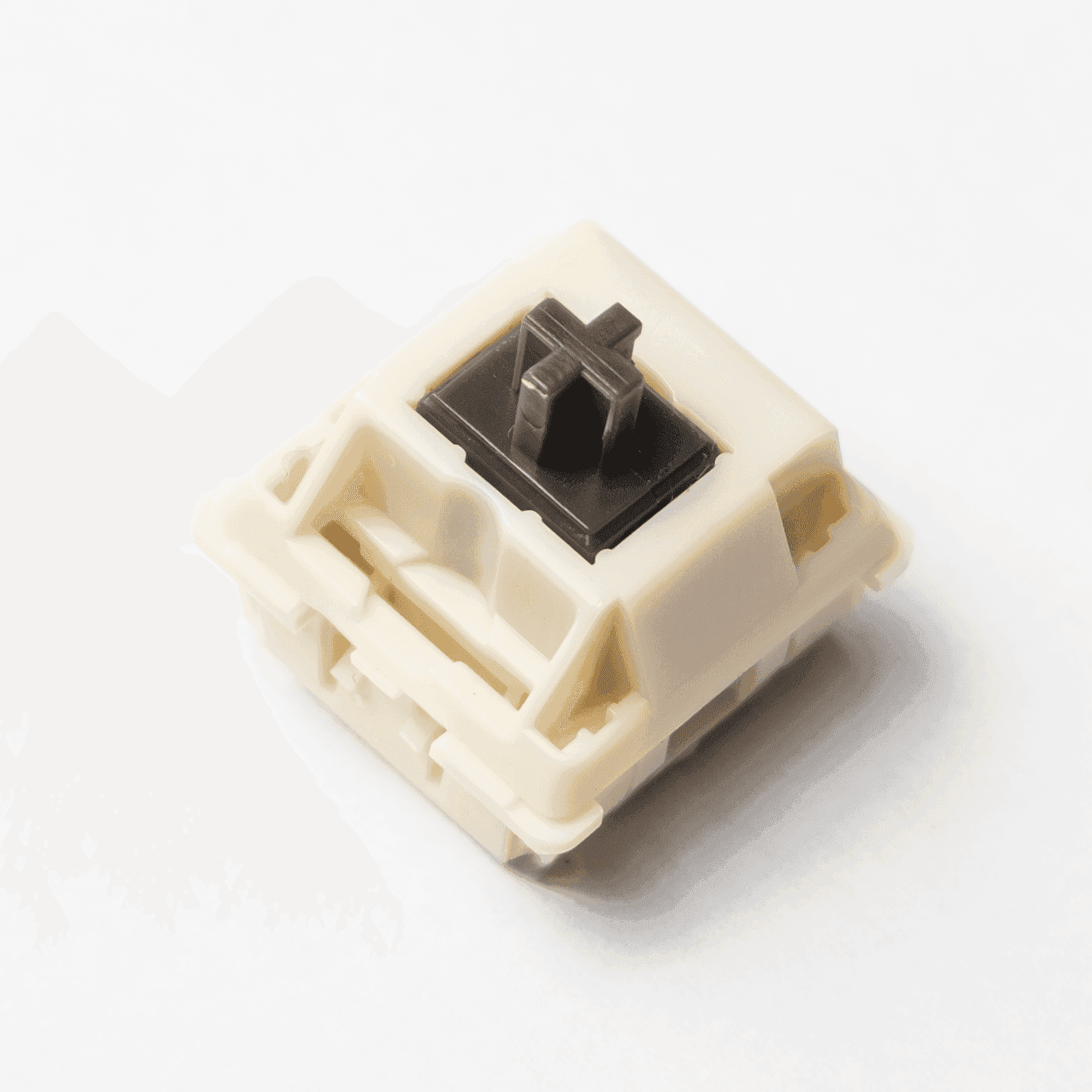 Durock Koala (62g) Switch - InputGear DE