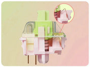 Gateron Harmonic Clicky Switch - InputGear DE
