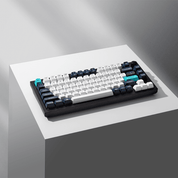 Keychron Q1 Max (ANSI) - InputGear DE