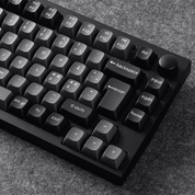 Lemokey P1 Pro Fully Assembled (ISO - DE) - InputGear DE