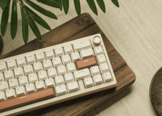 Womier SK65 Keyboard - InputGear DE
