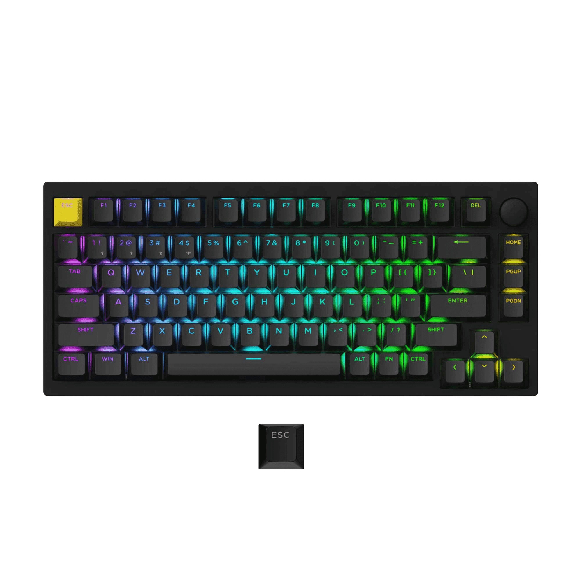 Wooting Wrist-Rest Black - InputGear DE